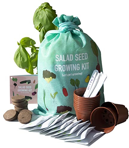 Scott&Co. Salad Seed Kit, 10 Different Vegetable Seed Varieties to Grow Your Own, Tomato, Lettuce, Cucumber. Veg Seeds, Pots, Labels and Compost. Gardening Gifts for Women and Men