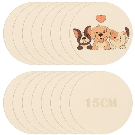 16Pcs Wooden Discs,15cm Blank Wooden Discs for Crafts 2.5mm Thick