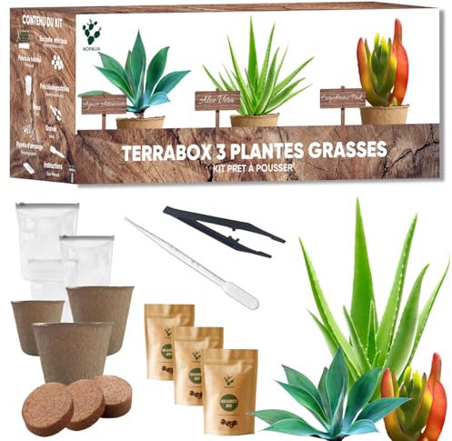 NOPALIA® Kit de Plantas Suculentas y Aloe Vera – Cultiva Tu Propio Mini Jardín – Agave, Carpobrotus y Aloe Vera – Regalo Ecológico y Original – Decoración para Casa y Oficina – DIY