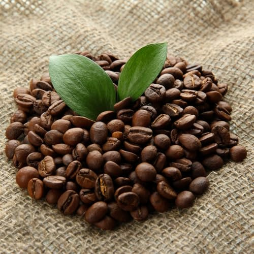 KaffeeSamen, kaffeepflanze immergrüne winterhart pflanzensamen exotische 20pcs