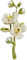 Grünes Blatt Brosche Frauen Blume Emaille Anstecknadel Perle Jasmin Brosche Floral Corsage Ästhetische Brosche Kleidung Dekoration Hochzeit Büro Geburtstag Party Casual Formalen Schmuck Geschenk