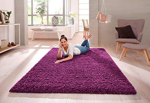 SHAGGY RUG Modern Rugs Living Room Extra Large Small Rectangular Size Soft Touch 30MM / 3cm Thick Pile Living Room Area Rugs Non Shedding (Purple, 160cm x 230cm (5.5ft x 7.5ft))
