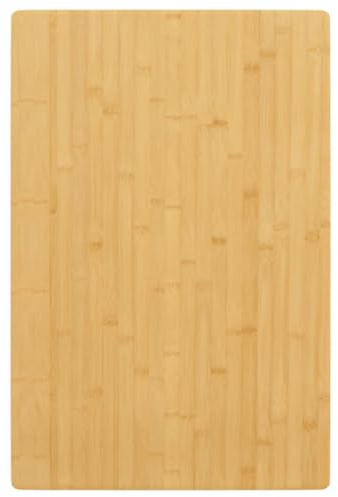 vidaXL Tablero de Mesa de bambú 60x100x2,5 cm