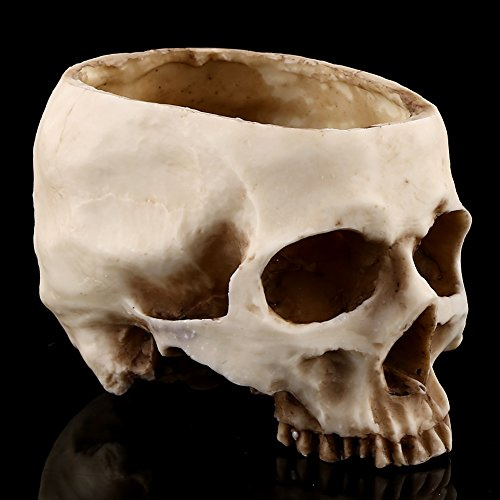 Totenkopf Trinkschädel Übertopf , 19 X 17 X 17 Cm , 1 Stück , Harz Totenkopf Blumentopf , Übertopf , Behälter Dekoration