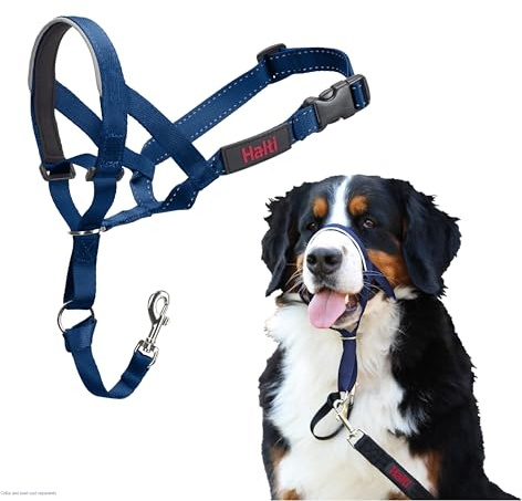HALTI Kopfgeschirr - Verhindert, dass Ihr Hund an der Leine zieht, Einfache Anpassung, Leicht, mit gepolstertem Nasenriemen, Anti-Zug-Halsband für große Hunde (Größe 4, Kobaltblau)