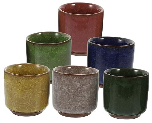iplusmile 6 Piezas Macetas De Cerámica para Suculentas De Macetas Pequeñas De Cerámica Diseño De Ice Crack Glaze para Plantas para Suculentas