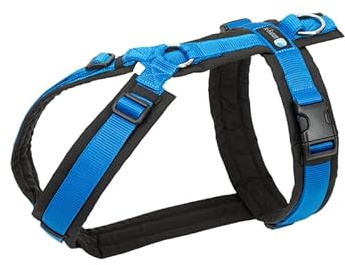 Anny-X Brustgeschirr Fun Schwarz-Blau | Hundegeschirr Größe S (Brustumfang 52-64 cm)