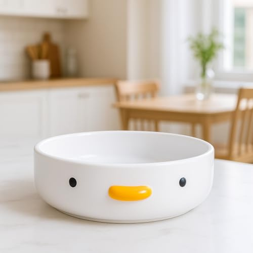 Safety Ceramics Saladiers amusants de 22,9 cm - 500 ml - Bol à soupe - Pour famille, amis, couples
