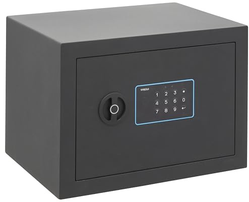 ARREGUI Blue 650120 Cassaforte Elettronica da Armadio in Acciaio | 25x35x25 cm | 18 L | Cassetta di Sicurezza per Casa e Ufficio | Tastiera con Codici Programmabili | con Chiave di Emergenza | Grafite