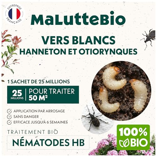 Nématodes HB contre les Vers Blancs (25M) – Produit naturel et 100% efficace pour éliminer les vers blancs et les hannetons du jardin, pelouses et plantes – Sans produit chimique et sans danger