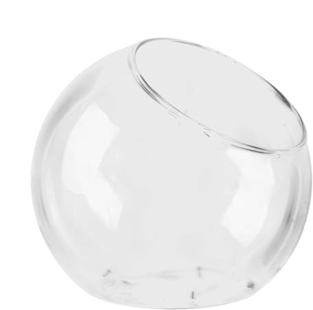 Terrariumglas - Elegantes Glas Pflanzer, Dekoratives Glas Terrarium | Glasblumenpot -Terrariumglas, Luftpflanzenhalter Terrariumtank, Pflanzenschüssel Vase Home Display Kernstück Für Kleine Innengärte
