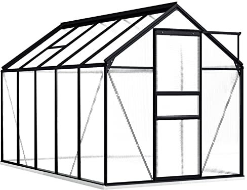 Grande serre en polycarbonate avec cadre en aluminium et base - Abri de jardin pour plantes - Fixation au sol - 190 x 310 x 202 cm - 5,89 m²