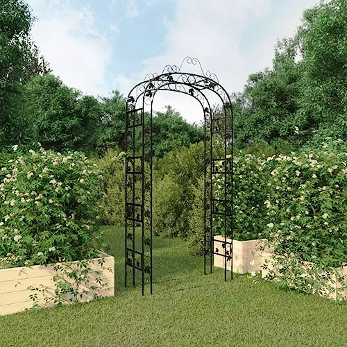 Arche de jardin en acier revêtu par pulvérisation - Noir - 116 x 45 x 240 cm - Arche de fleurs stable pour plantes grimpantes - Utilisation polyvalente comme entrée ou décoration dans le jardin