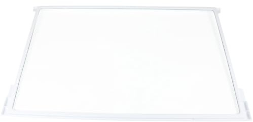 SPARES2GO Kylskåpshylla i glas med kanter för Gorenje Kylskåp och frysar 525 x 334 mm