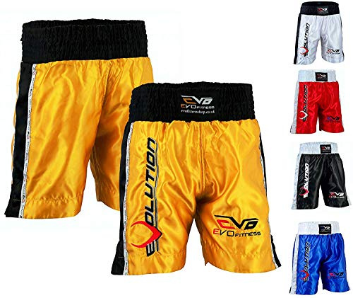 EVO Men Boxing Fight Shorts MMA Kick Boxing Martial Arts Gear Muay Thai UFC (UK, Alpha, M, Regular, Regular, Golden)