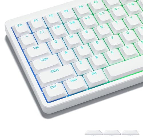 Womier Low-Profile-Tastenkappen – Durchscheinend und individuell PBT-Keycaps für mechanische Tastaturen (60 %, 65 %, 75 %, 80 %, 100 %) mit Cherry- oder Gateron-MX-Switches, weiße Beleuchtung