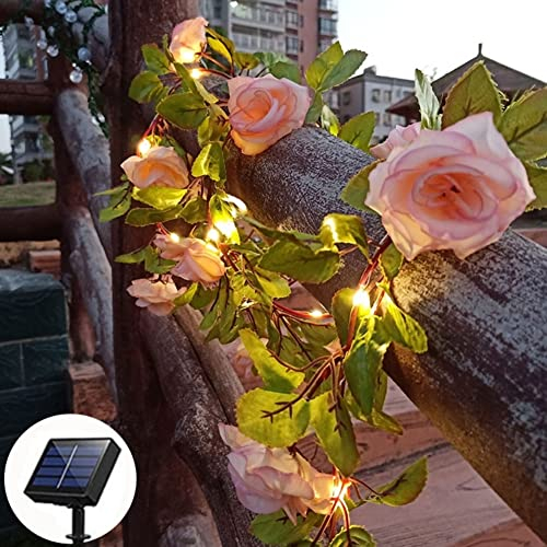 cuzile Piquet de jardin solaire en plein air, lampes solaires LED alimentées par l'énergie solaire, lumières décoratives solaires AP8 modes clignotant, éclairage rose pour patio, chemin, cour, jardin,
