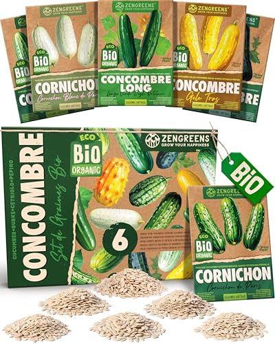 ZenGreens® - Set de semillas de pepino eco - 6 variedades para cultivar fácilmente en el jardín, balcón o parterre elevado - Sementes verduras