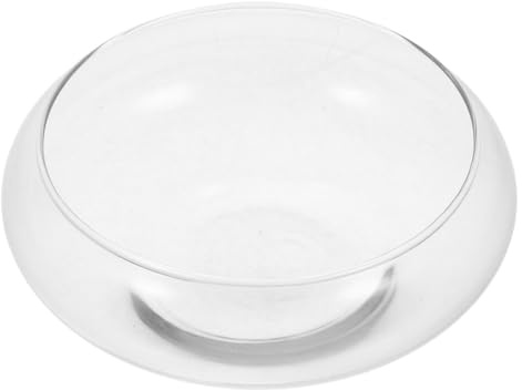LALAFINA Large Glass Fish Bowl Aquarium Pot with Spacious Design and Healthy Environment, Elegant and Simple Terrarium Bowl for Fish and Live Aquarium Plants, for Home Decor or Office
