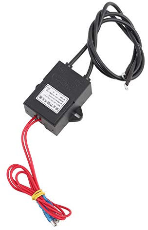 Modulo generatore di alta tensione AC 220V Trasformatore di accensione continuo Accenditore continuo ≥12kV 1A-2A