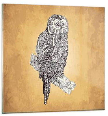 Bilder auf Glas Eule Vogel Tier Glasbild 60x60cm Wandbilder Dekoration Wohnzimmer Schlafzimmer Küche Deko Groß Wanddeko Bild im Glas Wand Kunstdruck Art Modern Wall Decor Glasdruck GAC60x60-5237
