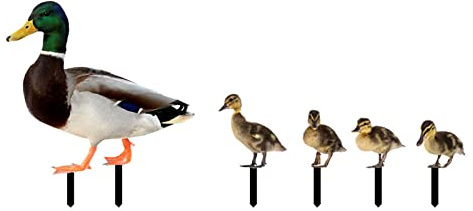 Dcfbkl Gartendekorationen für den Außenbereich, Enten, Hofschilder mit Pfählen, gruselig, Familienhaus, Vorgarten, Party-Dekoration, Outdoor-Gartenpfähle, dekorativ