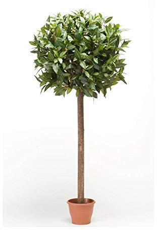 artplants.de Arbusto Redondo de Laurel sintético DRODY, Tronco Real, Frutos, 150cm - Bola de Laurel Falso - Planta Artificial