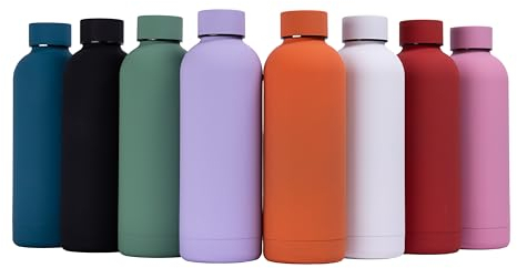 BIGGS & BANE Stainless Steel Water Bottle - Double Walled Vacuum Insulated – Thermal Flask for Cold Drinks – 500 ml (Purple)