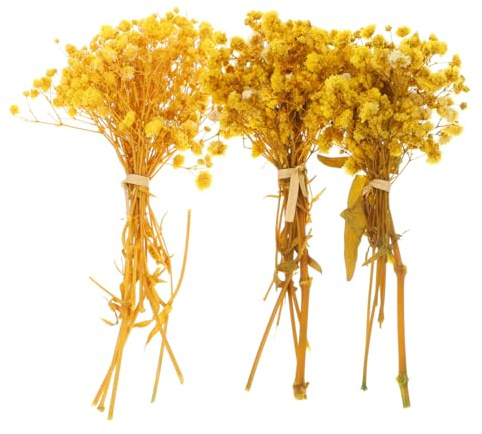 Alipis Fiori Secchi Breath Gialli per Decorazioni Casa e Centrotavola Bouquet Naturali Manutenzione per Matrimoni Uffici e Feste