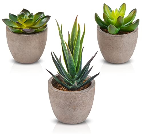 Zalava Set di 3 Piante Artificiali Succulenti in Vasi Tondi Mini Piante Grasse Finte da Interno per Decorazione Casa Ufficio Scrivania Tavolo Cucina Balcone Matrimonio Bagno di Casa, Verde
