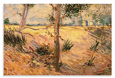Trees in A Field on A Sunny Day Paris Van Gogh 3D-Effekt Wandkunst Moderne Leinwanddrucke Kunstwerke Für Home Office Dekorationen Poster & Drucke Schlafzimmer Home Dekorationen Moderne Malerei 20x30in