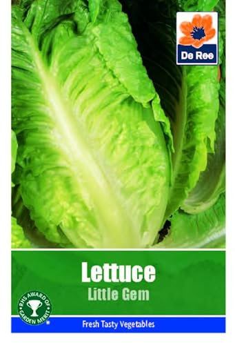 Lettuce Little Gem Seeds - 790 Seeds Vegetable Grow Your Own Garden Salad Herb Vegetable Seed