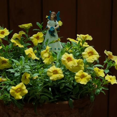 Acquista semi di calibrachoato decorativo perenne Calibrachoa elegans aiuola di esotici selvatici da balcone insoliti primaverili, 100pcs