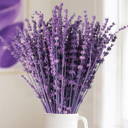 Celblisora Bouquet de fleurs de lavande séchées - 56 g - Branches de lavande préservées - Bouquet violet - Décoration florale pour tables de mariage, décoration de la maison, bricolage, plante sèche