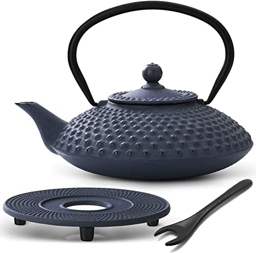 Bredemeijer Teekanne asiatisch Gusseisen Set 1.25 Liter - blaue Gusskanne mit Henkel & Edelstahl Tee-Filter Sieb-Einsatz für losen Tee & Untersetzer & Deckelheber