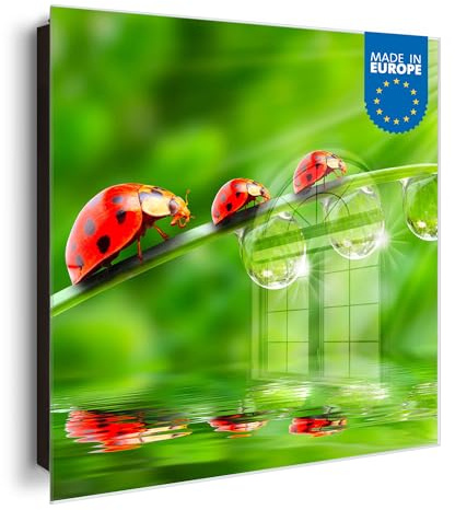banjado Großer Schlüsselkasten Glas - Schlüsselbox 30x30cm mit 50 Haken - Schlüsselkasten modern für Schlüsselaufbewahrung mit beschreibbarer, magnetischer Glastür - Motiv Für Jeden Einen