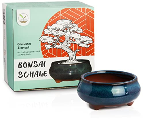 HappySeed Bonsai Schale Keramik (klein) in Marineblau - Bonsai Topf rund für die perfekte Inszenierung Ihres Zimmerbonsais - 9 x 4,5 x 9 cm