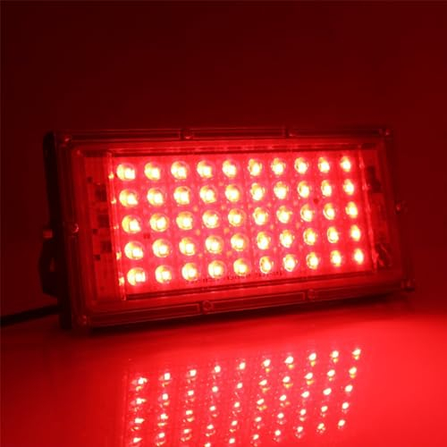 MODOAO Projecteur d'extérieur 50 W 4800 lm LED rouge étanche IP66 pour cour, jardin, garage, pelouse, cour