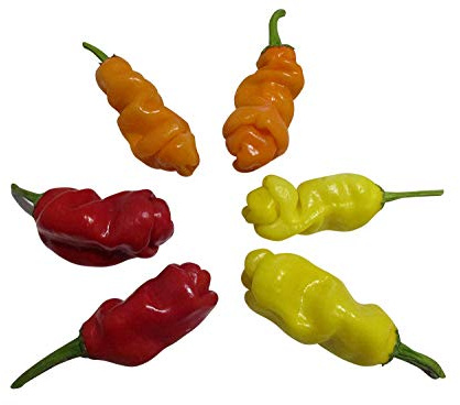 Mix di peperoncini Peter Pepper rosso-giallo-arancione 10 semi ciascuno