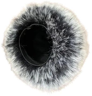 MHADBKH Case Manga Micrófono Micrófono Profesional para Reducción Ruido Grabación Portátil Esencial H6 Reducción Ruido Aire Libre