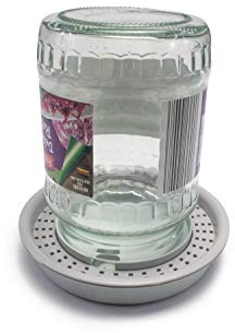 WoodBi Die Neue Bienentränke v2.0 | Tränke für die Bienen | auch zur Einfütterung mit Sirup geeignet | Imker, Imkereibedarf (1 Stück)