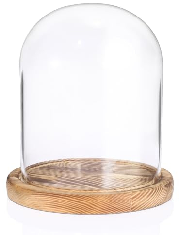 SUMNACON Glass Display Cloche Dome with Vintage Wooden Base, Decorative Clear Display Bell Jar Glass Cover Dome Cloche Showcase for Plant, Collection, Toy, Crystal