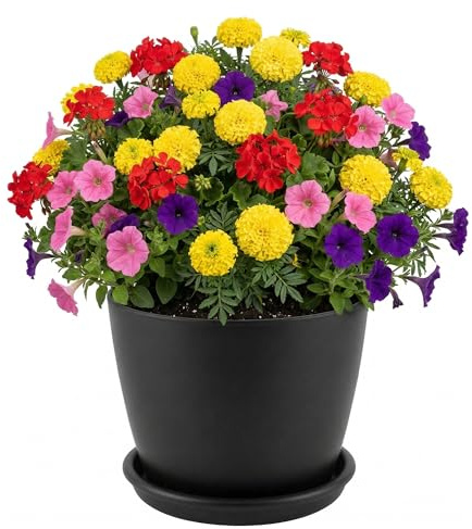 Averly Home Matte Black Flower Pot | Sturdy Plastic Plant Pots With Saucer | Versatile Planters Outdoor & Indoor | Plant Pots Outdoor For Houseplants | Perfect Garden Planters for Healthy Plants Root