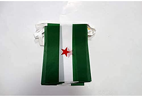 AZ FLAG Guirnalda Andalucia Arbonaida 6 m 20 banderas Poliéster Ligero | Uso interior y exterior Cadena de banderas andaluza banderas cosidas sobre cinta reforzada
