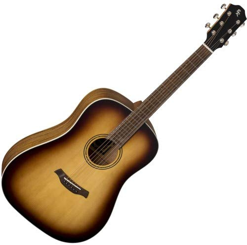 Baton Rouge X11S/SD-COB 20s Edition Western Guitar