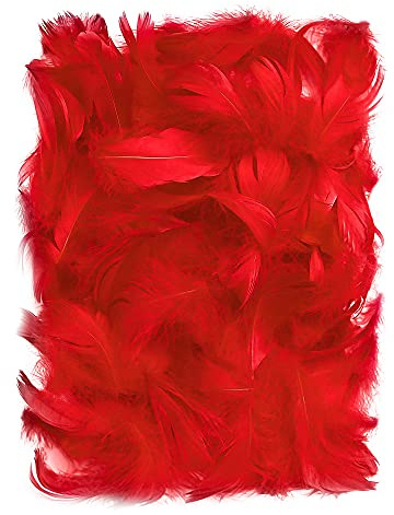 Netuno 150 Stück Flaum Federn Rot 10 g Natur Schmuckfedern zum DIY Basteln Dekoration für Ostern Weihnachten Figuren Dekofigur Karneval | 10 g · Flauschige dekorative Federn für DIY, Basteln, Party-Dekoration, Traumfänger, Maskenherstellung
