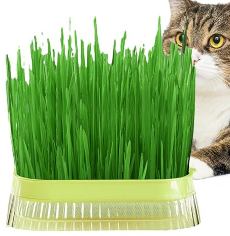 Cat Grass Seed Tray - Hydroponic Cat Grass Planter | Plant Bowls for Cat Grass | Hydroponic Cat Grass Cup | Soilless Culture Cat Grass Planting Container | Cat Grass Sprouting Trays for Indoor