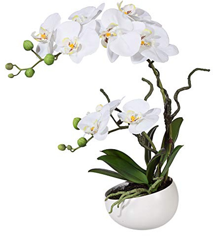 wohnfuehlidee Kunstpflanze Orchidee Phalenopsis, weiß, mit Deko-Keramik-Schale, Kunstblume Höhe 42 cm, Künstliche Orchidee im Topf