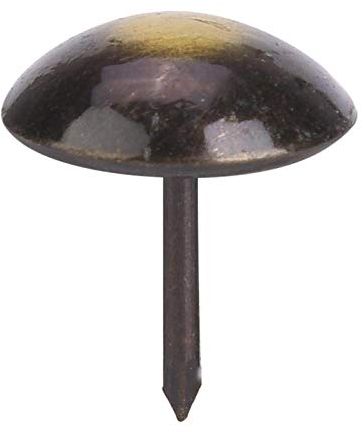 100Pcs Chiodo per Tappezzeria, Chiodi per Tappezzeria Chiodi per Mobili per Mobili Chiodi Decorativi Perni per Tappezzeria Chiodi per Tappezzeria Chiodi per Mobili Antichi(19 * 23mm)