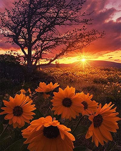 Zdklfm69 Malen nach Zahlen Ölgemälde nach Zahlen Landschaft Erwachsene Sonnenblume Sonnenuntergang auf Leinwand Ölbild Zeichnung Malen nach Zahlen Dekoration Geschenk 40x50cm